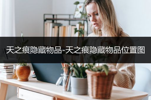 天之痕隐藏物品-天之痕隐藏物品位置图